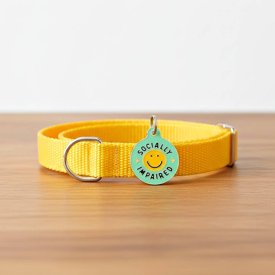 Bad Tags - Personalized Dog Tag Scannable QR Code - Socially Impaired - Engraved QR Code / Small 1"