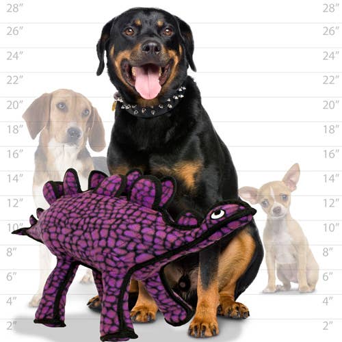 Tuffy Dog Toys - VIP Products - Tuffy Dinosaur Stegosaurus, Tough, Durable Dog Toy
