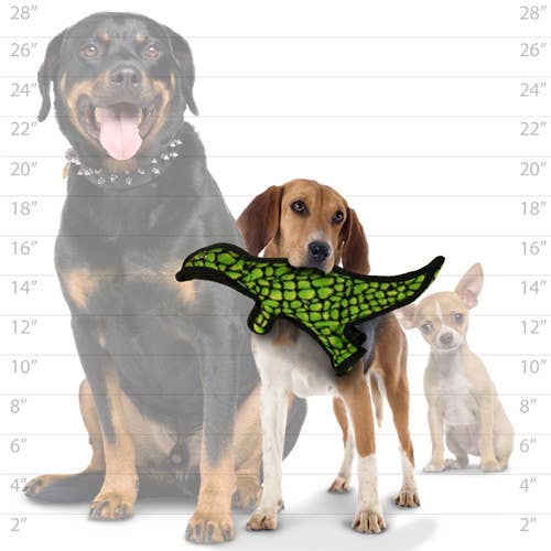 Tuffy Dog Toys - VIP Products - Tuffy Jr Dinosaur TRex, Durable, Squeaky Dog Toy