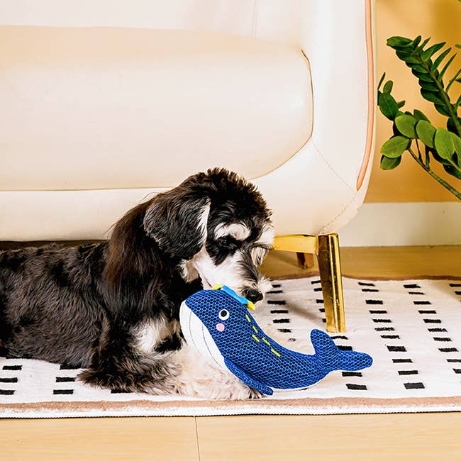 Hugsmart Products Inc - HugSmart Pet - Ocean Pals | Whale - Dog Plush Toy