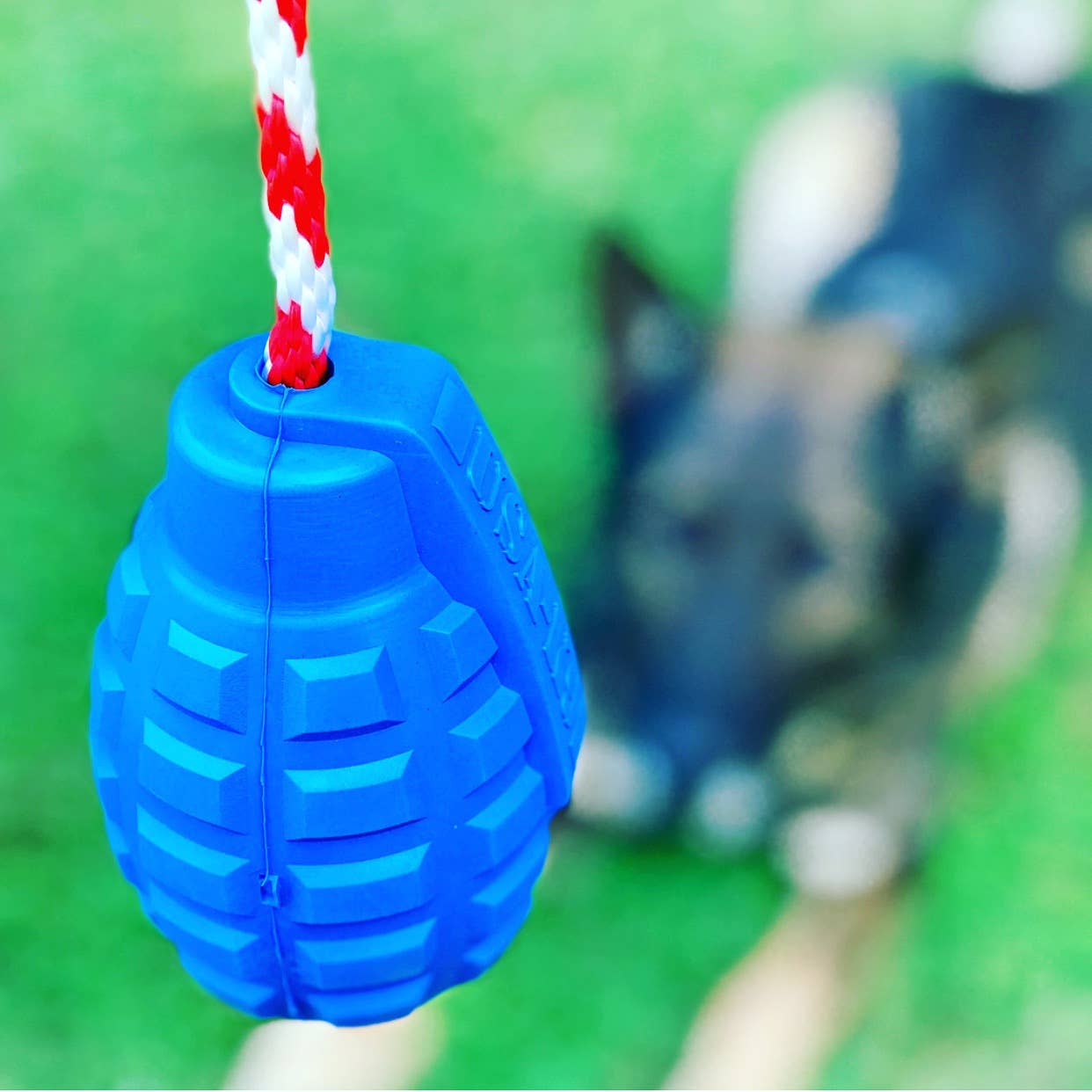 SodaPup - USA-K9 Grenade - Chew Toy - Reward Toy - Blue - Blue / XL