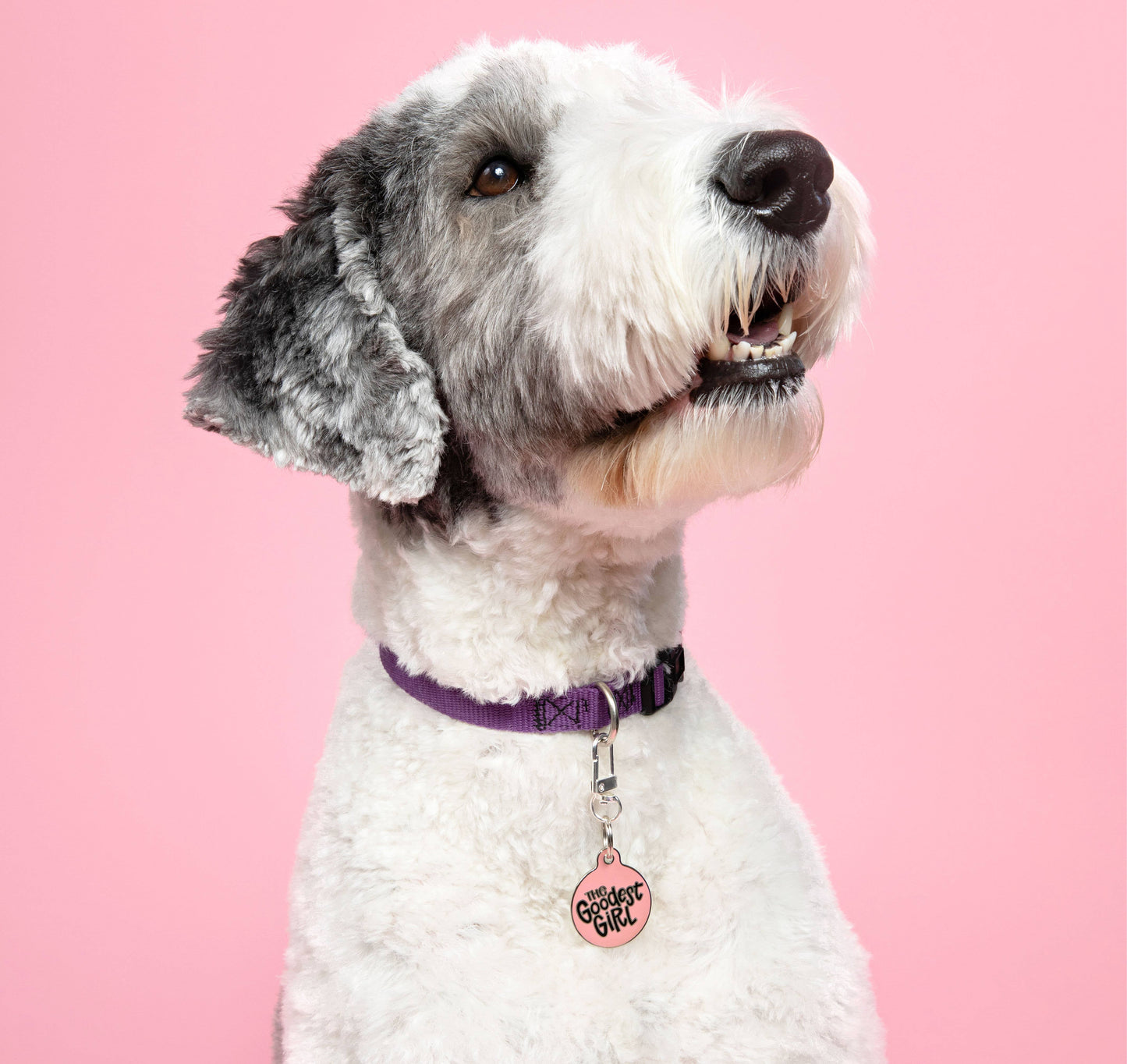 Bad Tags - Dog ID Tag with Personalized QR Code - The Goodest Girl - Pink / Engraved QR Code / Small 1"