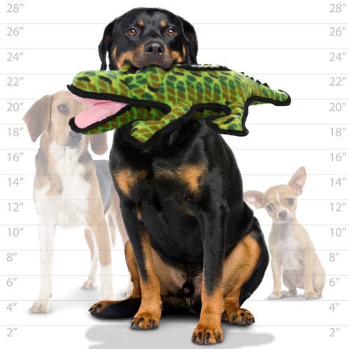 Tuffy Dog Toys - VIP Products - Tuffy Ocean Alligator, Durable, Squeaky Dog Toy - Large