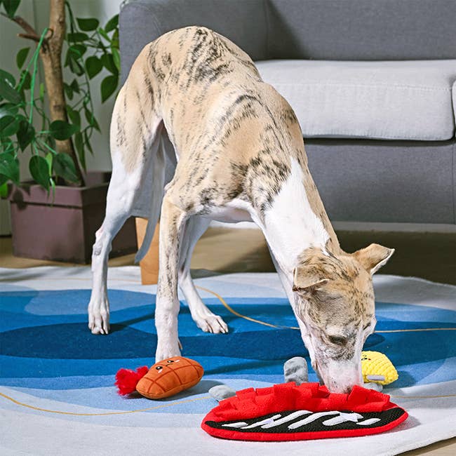 Hugsmart Products Inc - Oriland Pet - Beach Daze | BBQ Grill - Dog Plush Toy