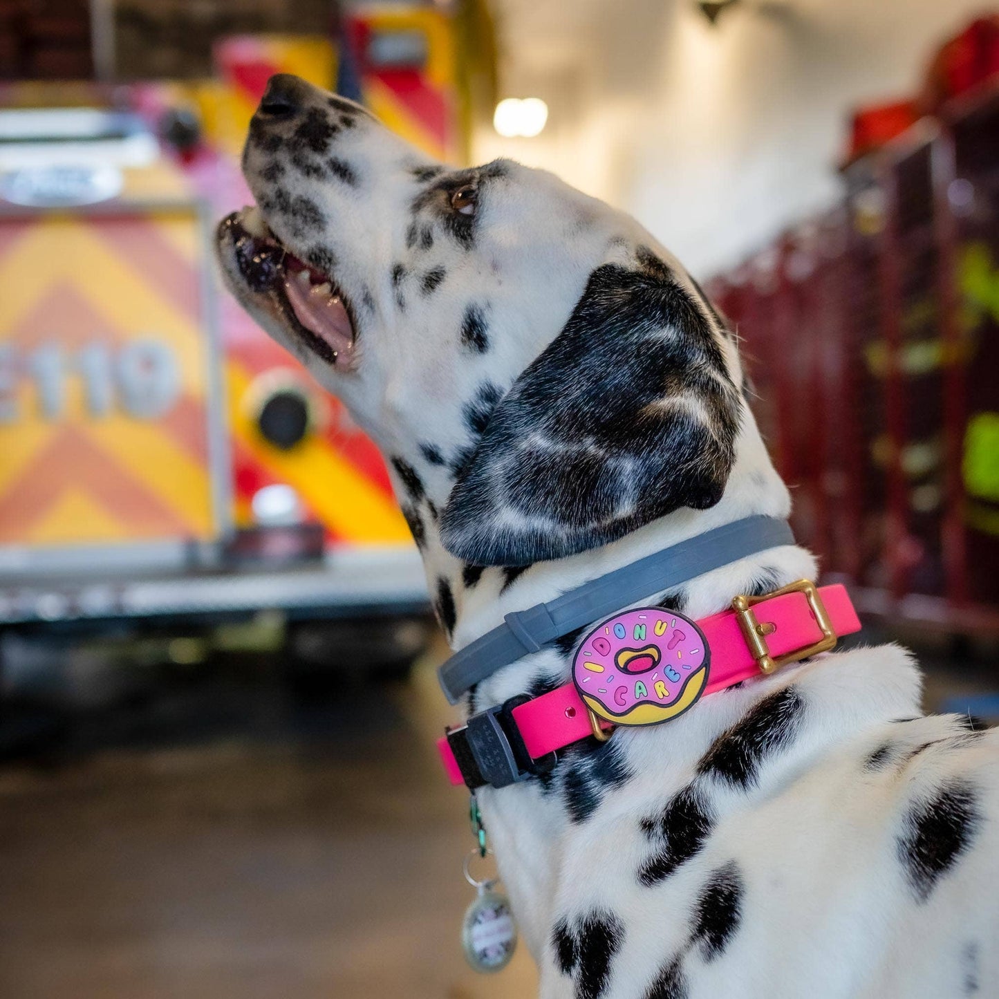 Jiby Dog Crew - I Donut Care Dog Jiby - Pink