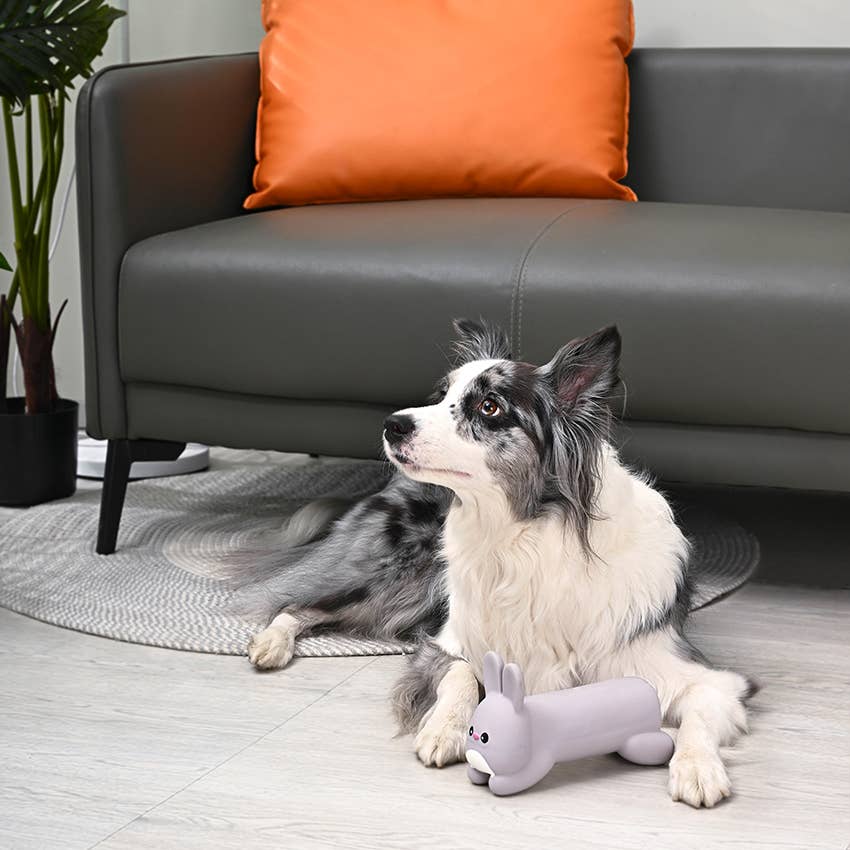 Hugsmart Products Inc - HugSmart Pet - Hoppin' Easter | Hoppy Bunny - Dog Plush Toy