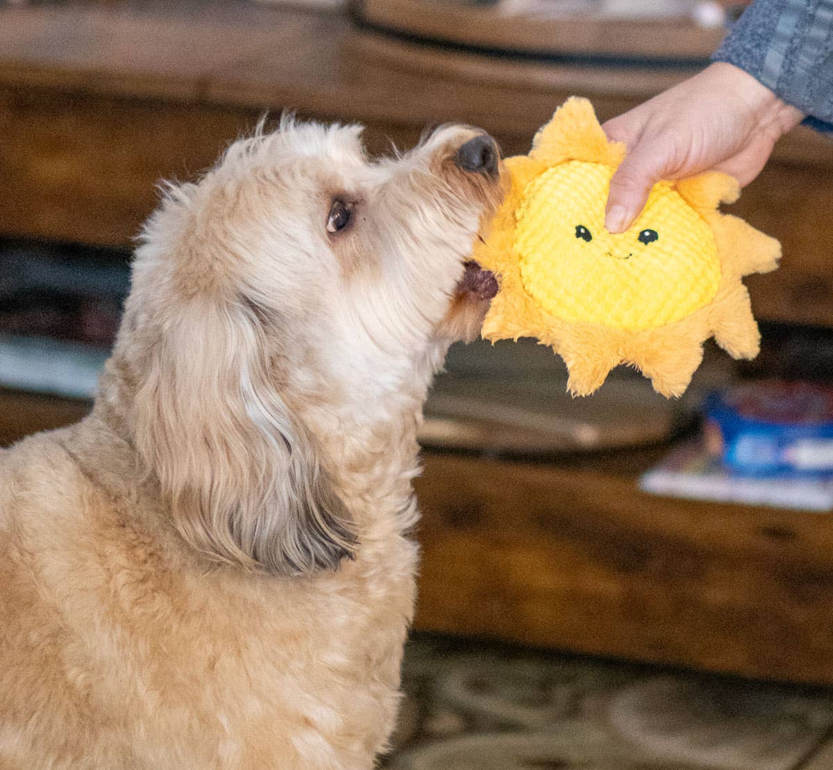 Pet Palette Distribution - ThoozyPet Sun Plush Dog Toy 8"
