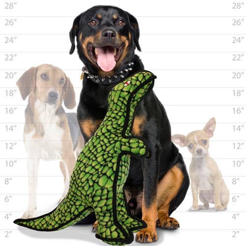 Tuffy Dog Toys - VIP Products - Tuffy Dinosaur T-Rex, Tough, Durable Dog Toy - Doot's Pet LLC Collars For A Cause