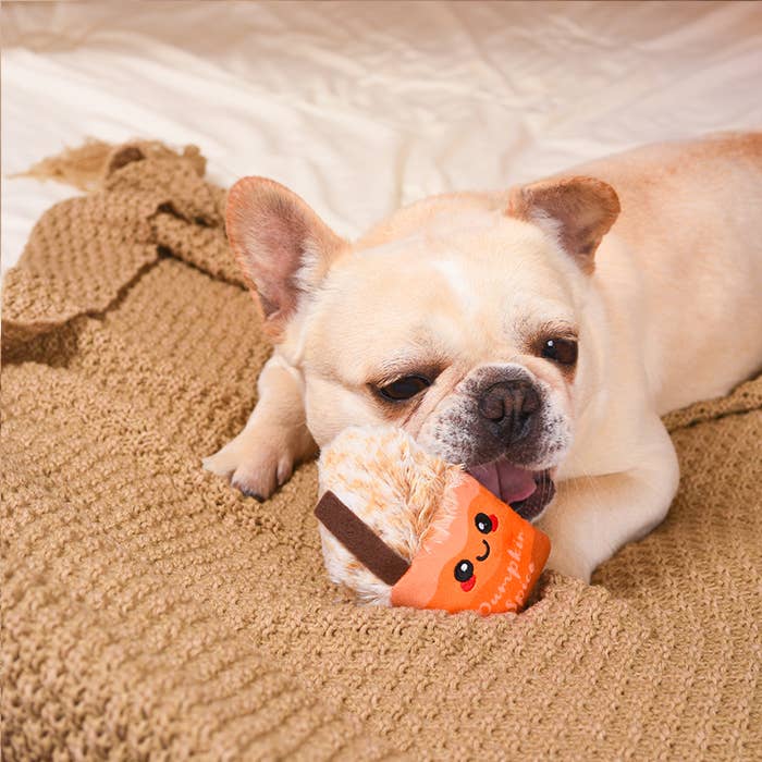 Hugsmart Products Inc - HugSmart Pet - Autumn Tailz | Pumpkin Play - Dog Plush Toy