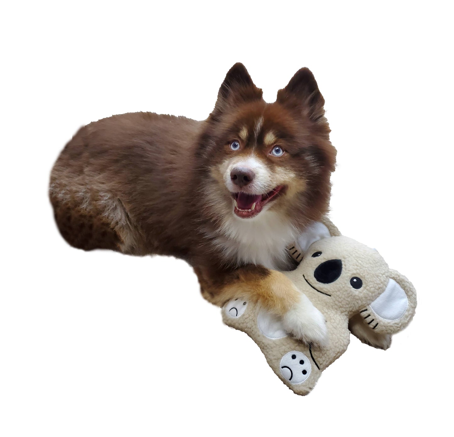 Barker's Bowtique - Kiki the Koala Fleece Dog Toy