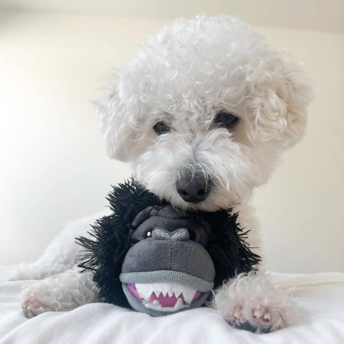 Tall Tails - Gorilla 2-in-1 Fetch Ball Dog Toy