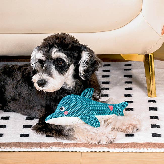 Hugsmart Products Inc - HugSmart Pet - Ocean Pals | Dolphin - Dog Plush Toy
