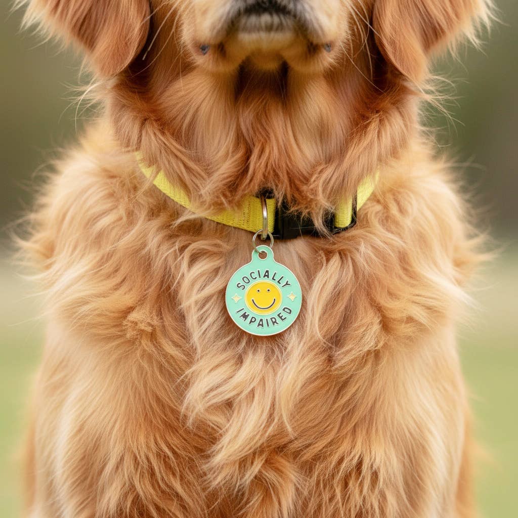Bad Tags - Personalized Dog Tag Scannable QR Code - Socially Impaired - Engraved QR Code / Small 1"