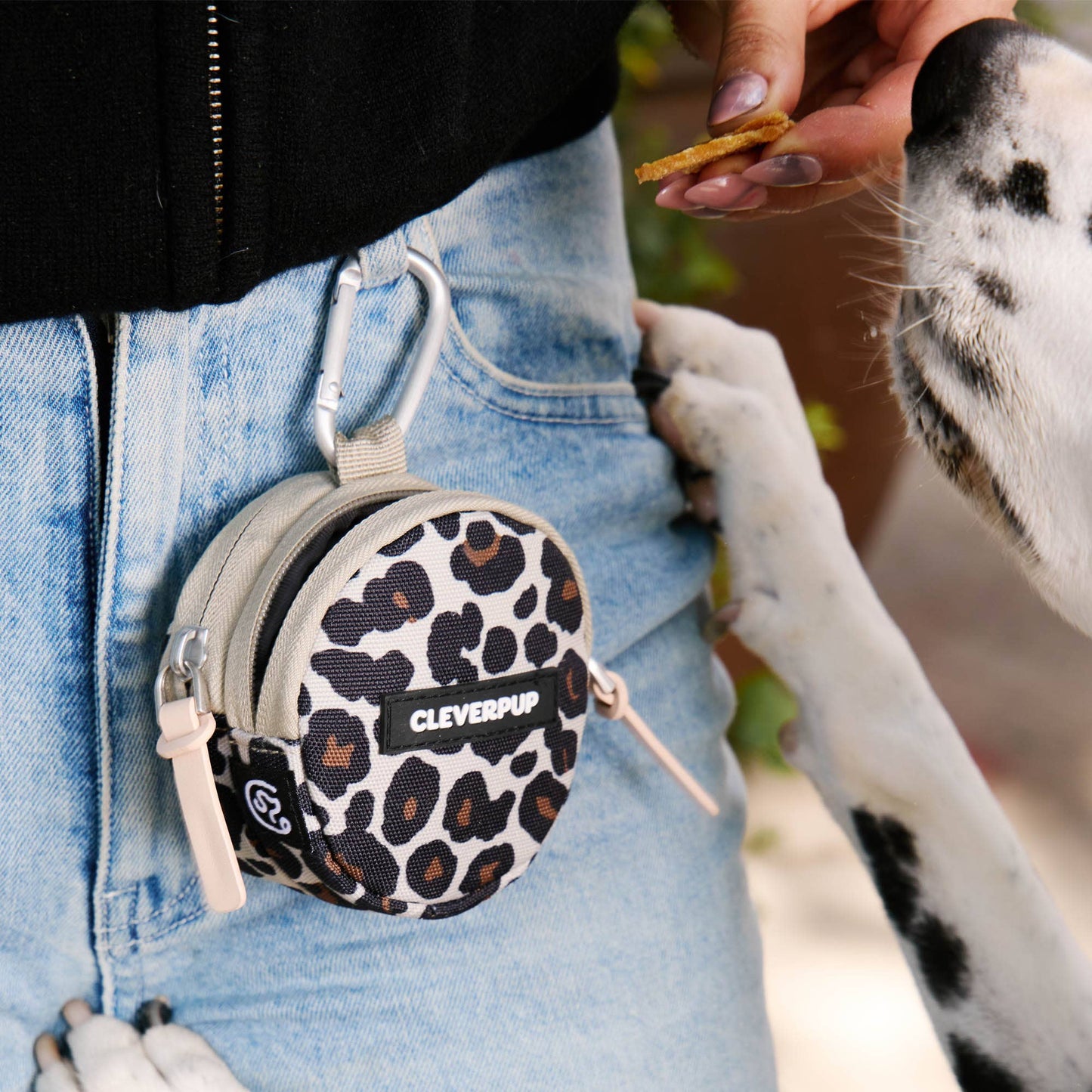 Cleverpup - Snackpack Double Insulated Dog Treat Pouch