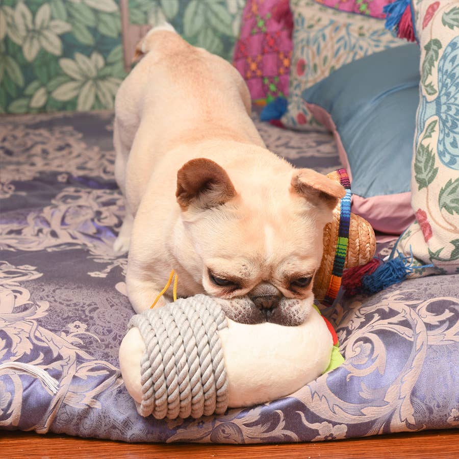Hugsmart Products Inc - HugSmart Pet - Fiesta Chewsday | Burrito - Dog Rope Toy