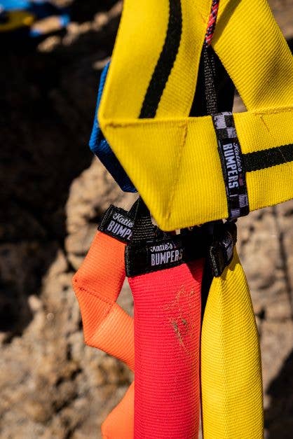 Katie's Bumpers - Best KB Frequent Flyer Triangle Fetch Toy For Dogs