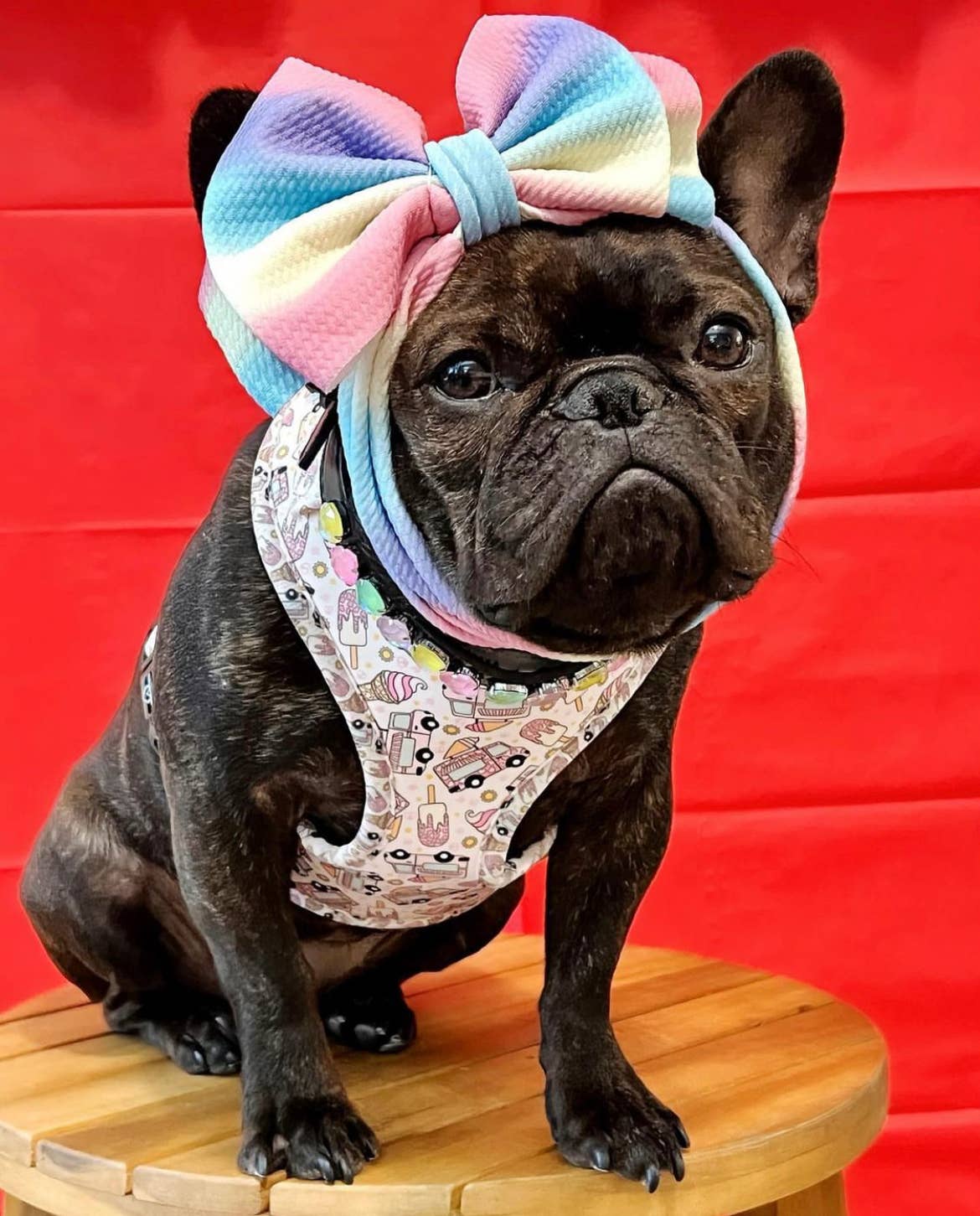 Mina + Pup - Ice Cream Dreams Adjustable Dog and Cat Harness