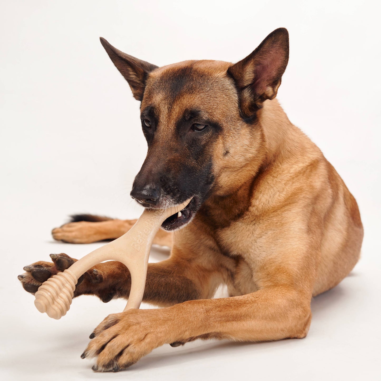BetterBone Natural Dog Chews - BetterBone MEDIUM - Natural, No Nylon, Softer Than Nylon ECO - Beef / Large (dogs over 25 lbs)
