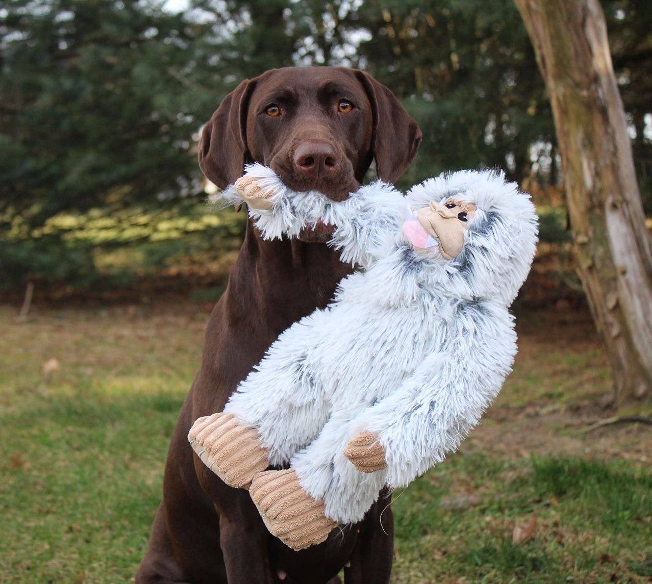 Tall Tails - Tall Tails Plush Yeti Toy - 14"