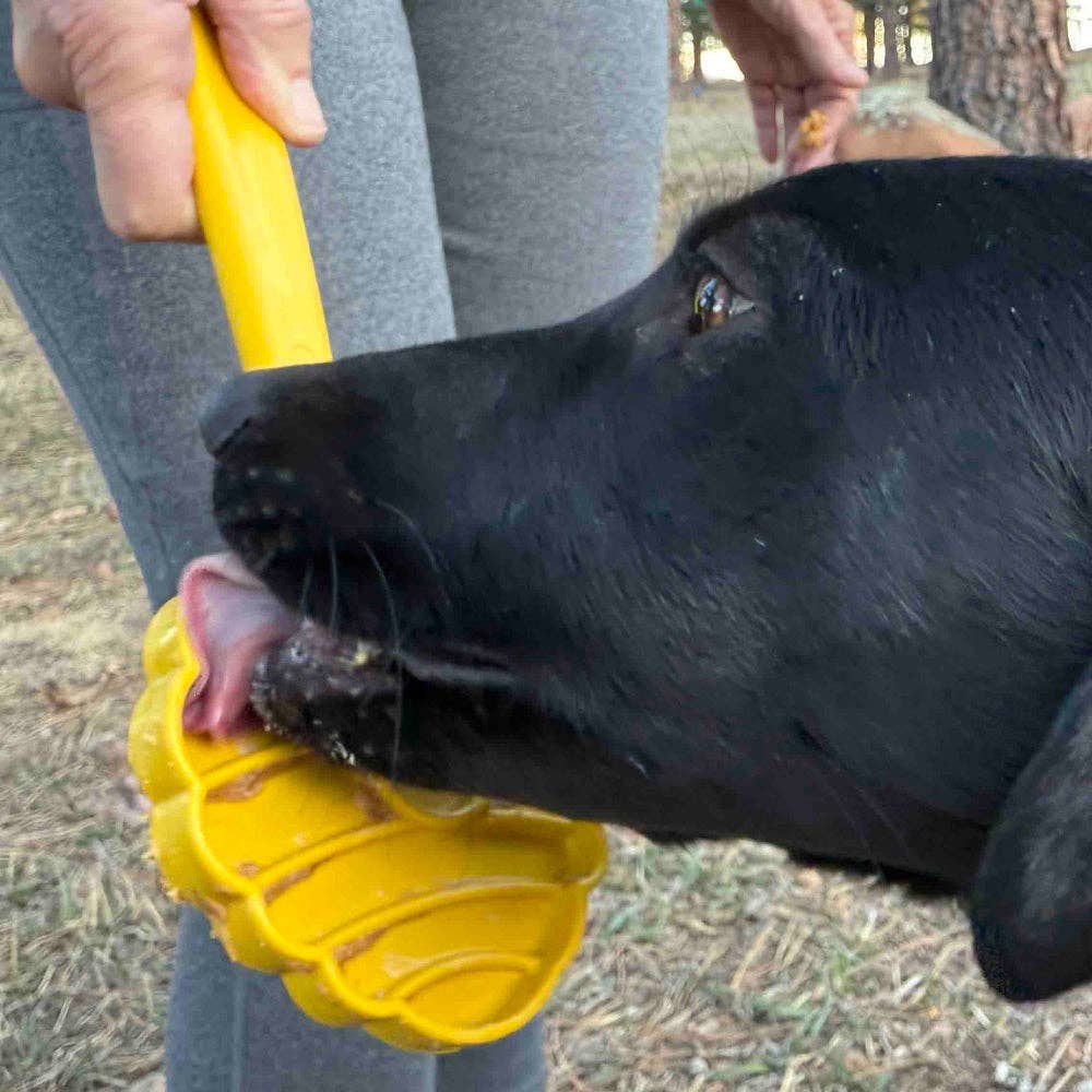 SodaPup Dog Toys - Lick Stick Hand-Held Interactive Enrichment Toys - Beehive Lick Stick - yellow