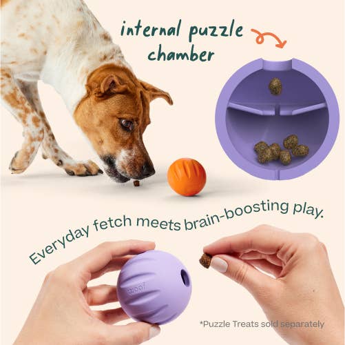 Woof - FlyBall 3 Pack