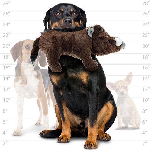 Tuffy Dog Toys - VIP Products - Mighty Safari Warthog - Brown, Plush, Squeaky Dog Toy - Doot's Pet LLC Collars For A Cause