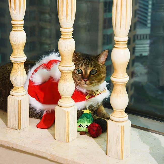 Hugsmart Products Inc - HugSmart Pet - Holiday Feline | Xmas Tree - Cat Toy
