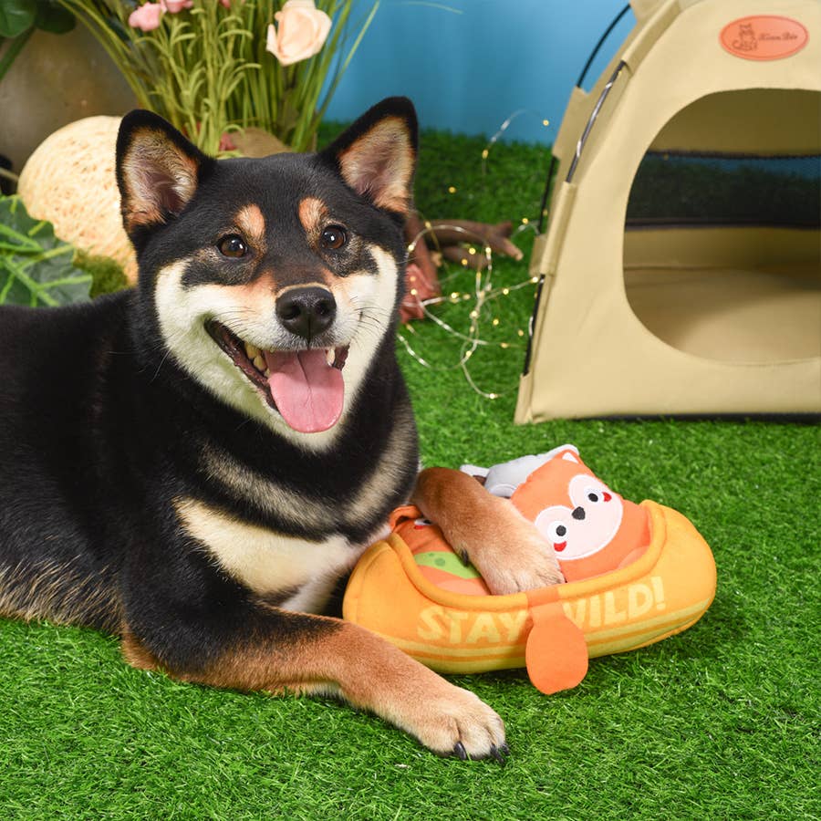 Hugsmart Products Inc - HugSmart Pet - Camping Pups | Kayak - Interactive Toy
