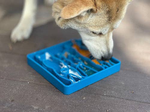 SodaPup - Waiting Dogs Design eTray Enrichment Tray for Dogs