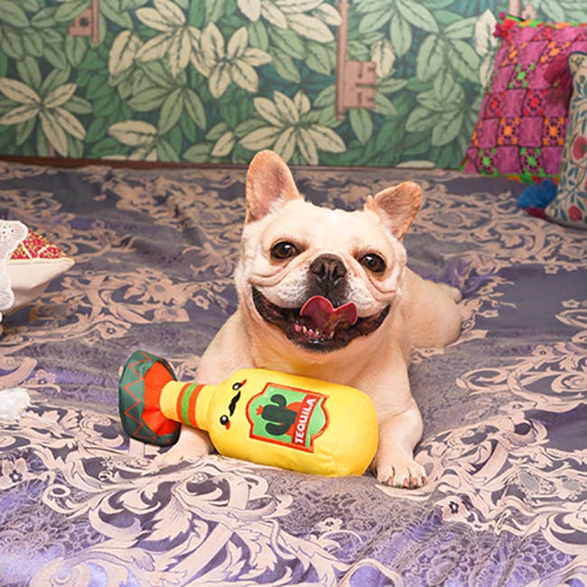 Hugsmart Products Inc - HugSmart Pet - Fiesta Chewsday | Tequila - Dog Plush Toy