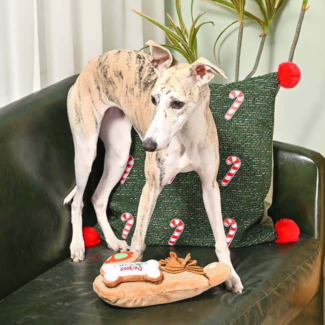 Hugsmart Products Inc - HugSmart Pet - Happy Woofmas | Cookie Board - Plush Toy