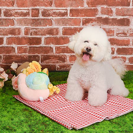 Hugsmart Products Inc - HugSmart Pet - Puppy Garden | Snail - Dog Plush Toy