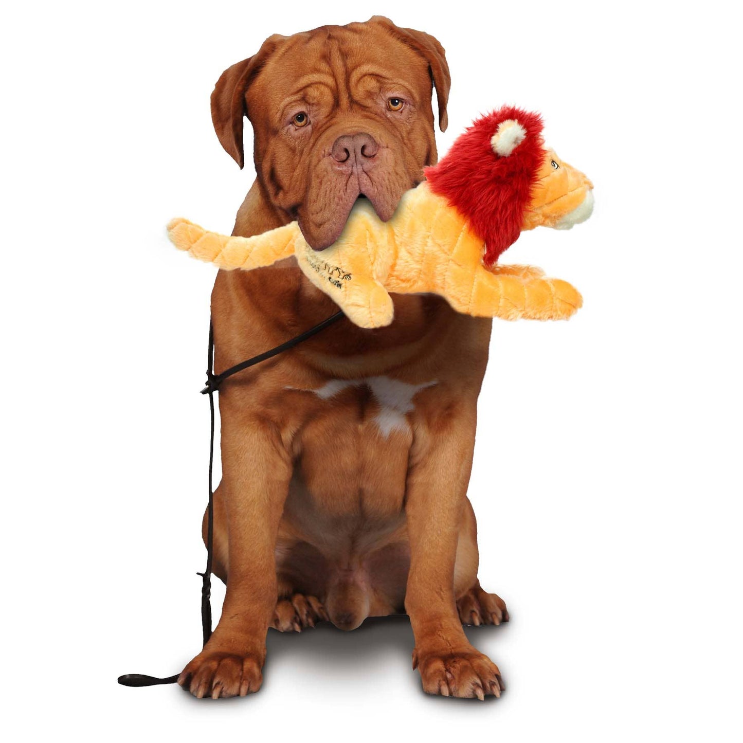 Tuffy Dog Toys - VIP Products - Mighty Safari Lion, Plush, Squeaky Dog Toy - Doot's Pet LLC Collars For A Cause