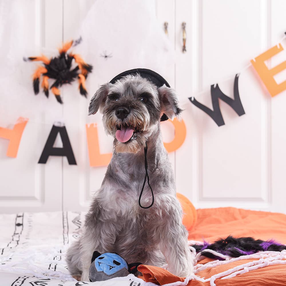 Hugsmart Products Inc - HugSmart Pet - Howloween Night | Vampire -Dog Ball Toy