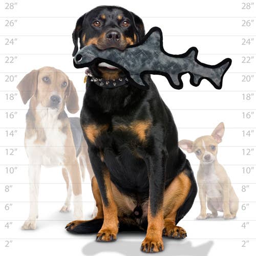 Tuffy Dog Toys - VIP Products - Tuffy Ocean Hammerhead, Durable, Tough, Squeaky Dog Toy