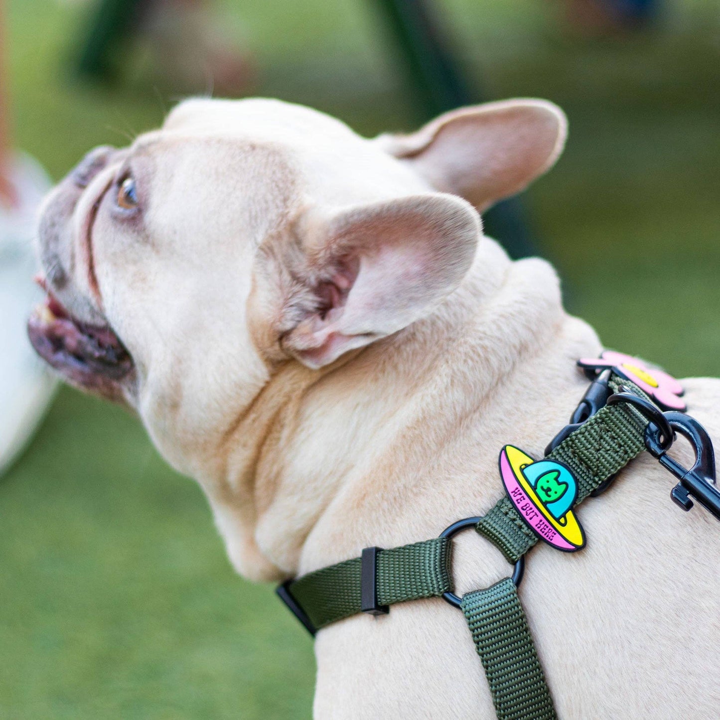 Jiby Dog Crew - UFO Dog Jiby