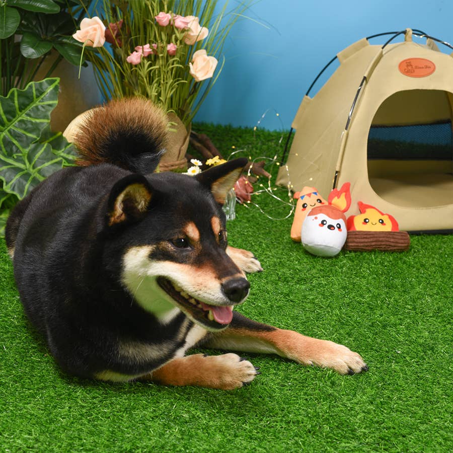 Hugsmart Products Inc - HugSmart Pet - Camping Pups | Camp Hound - Dog Plush Toy