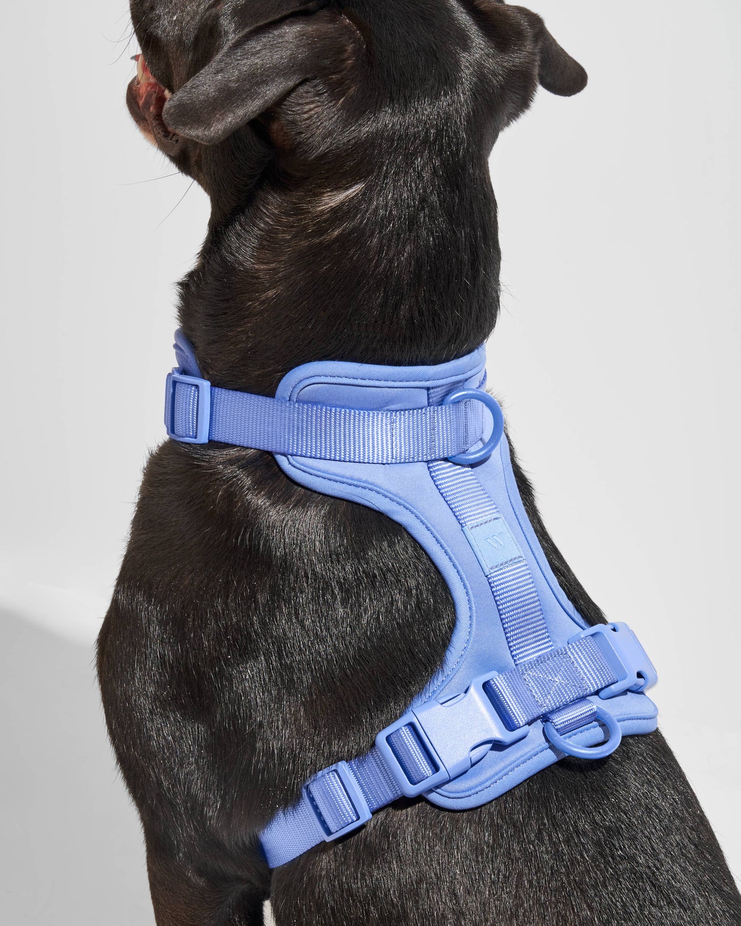 Wild One - Adjustable Comfort Dog Harness - Cocoa / SMALL