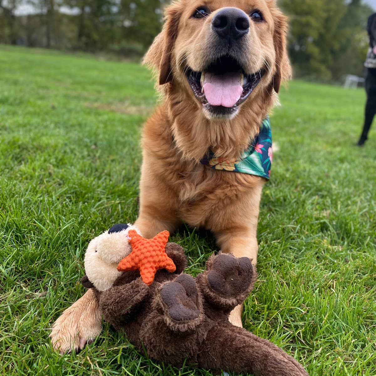 Tall Tails - Otter Rope Body Dog Toy