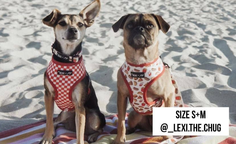 Mina + Pup - Drive-In Diner Reversible Harness