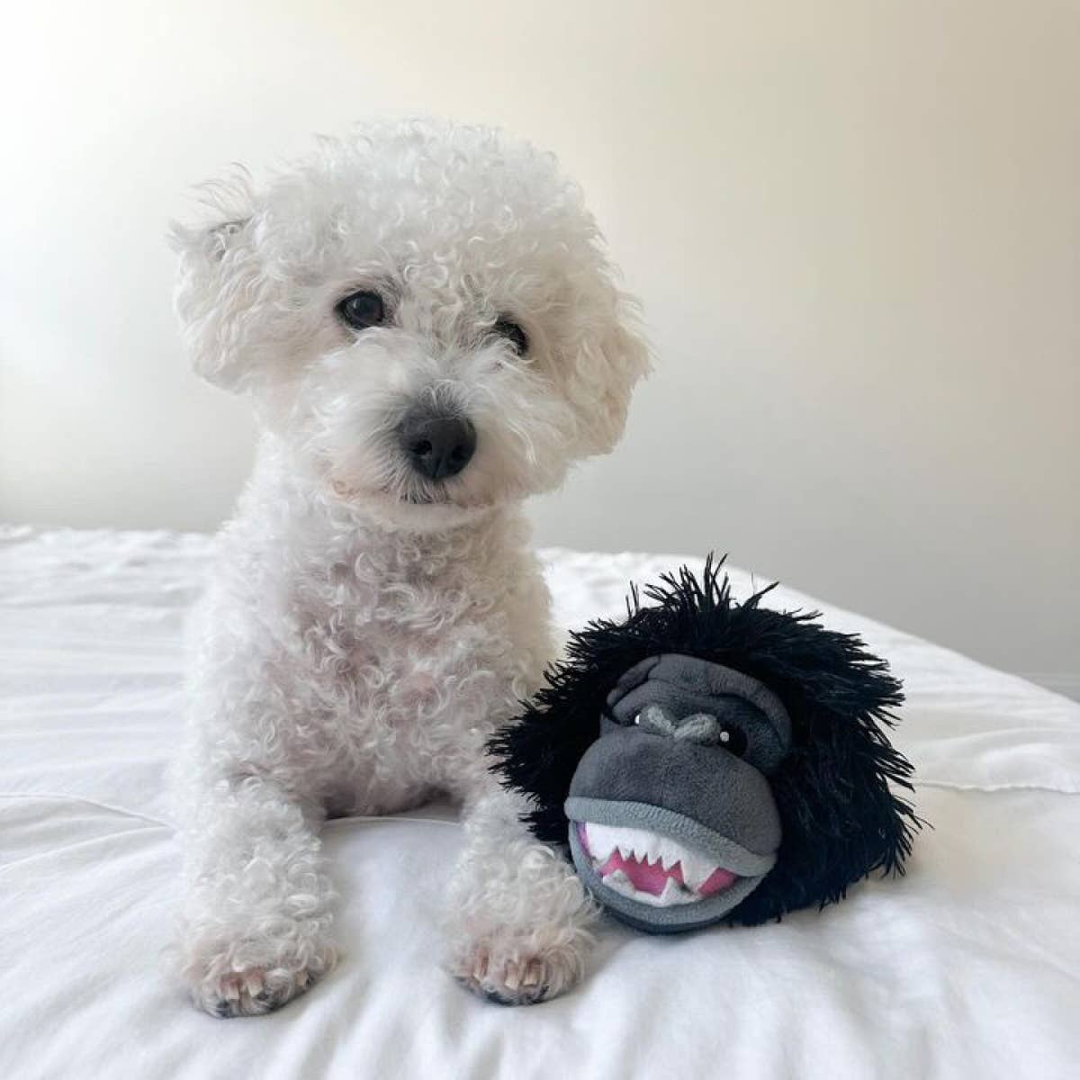 Tall Tails - Gorilla 2-in-1 Fetch Ball Dog Toy