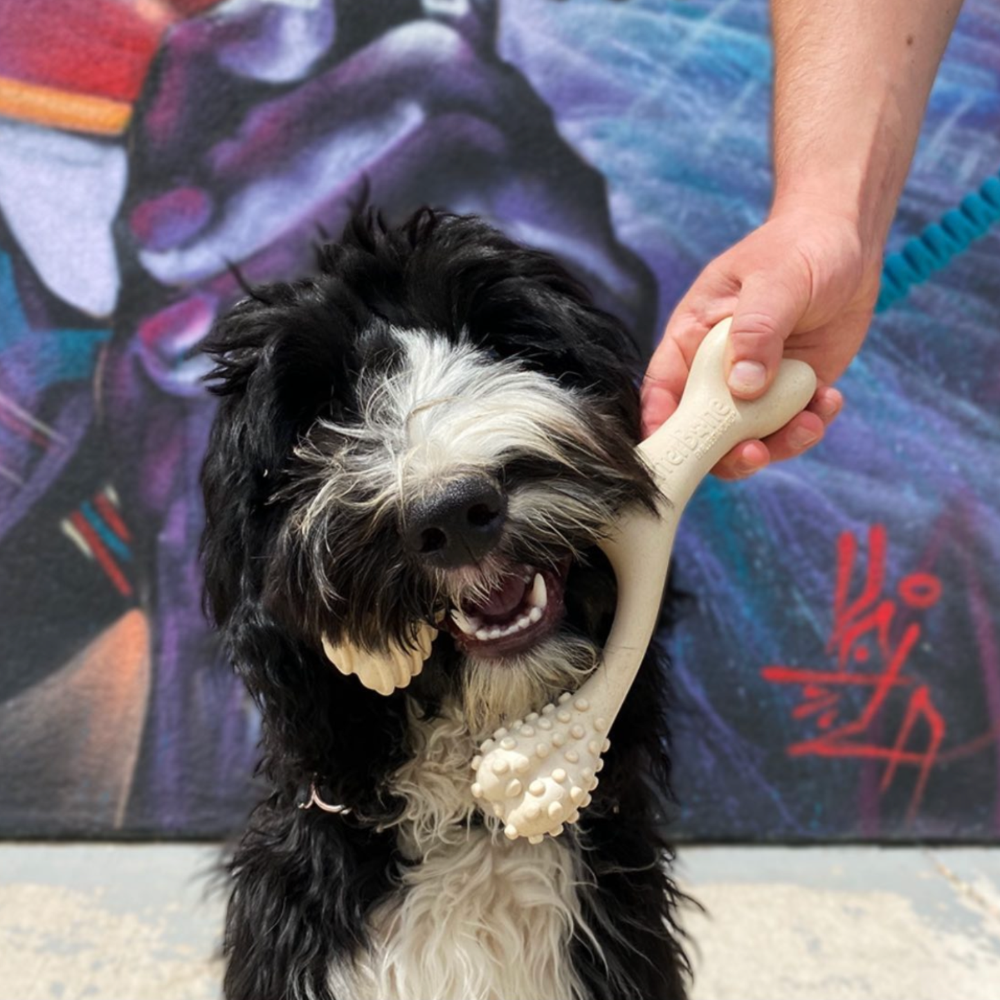 BetterBone Natural Dog Chews - BetterBone SOFT- All-Natural, Safer on Teeth, Sustainable - Beef / Small (dogs under 25 lbs)