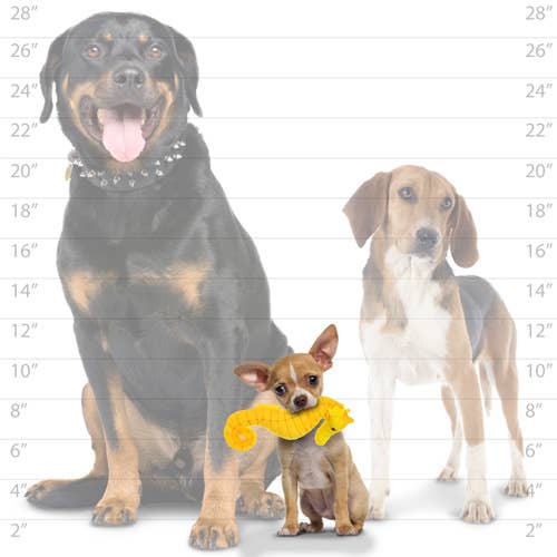 Tuffy Dog Toys - VIP Products - Mighty Jr Ocean Seahorse, Plush, Squeaky Dog Toy - Doot's Pet LLC Collars For A Cause