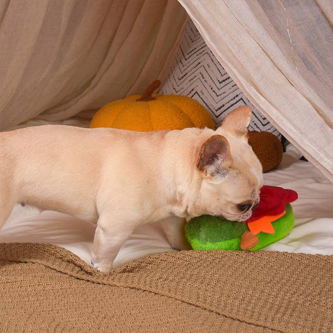 Hugsmart Products Inc - HugSmart Pet - Autumn Tailz | Turkey Avocado -Dog Plush Toy