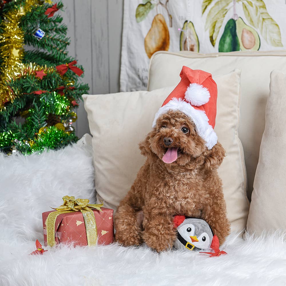 Hugsmart Products Inc - HugSmart Pet - Happy Woofmas | Penguin - Dog Ball Toy
