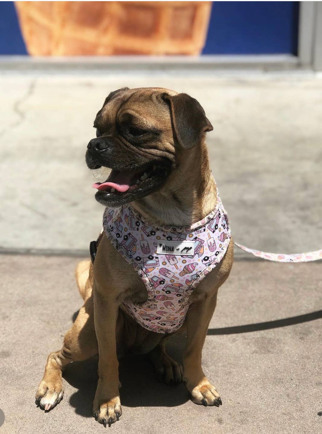 Mina + Pup - Ice Cream Dreams Adjustable Dog and Cat Harness