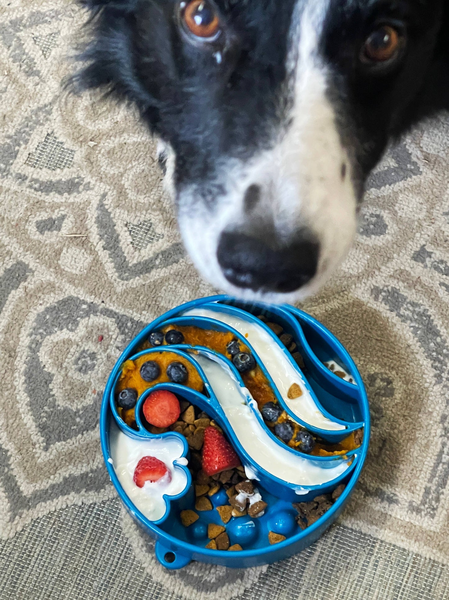 SodaPup - Wave Design eBowl Enrichment Slow Feeder Bowl for Dogs