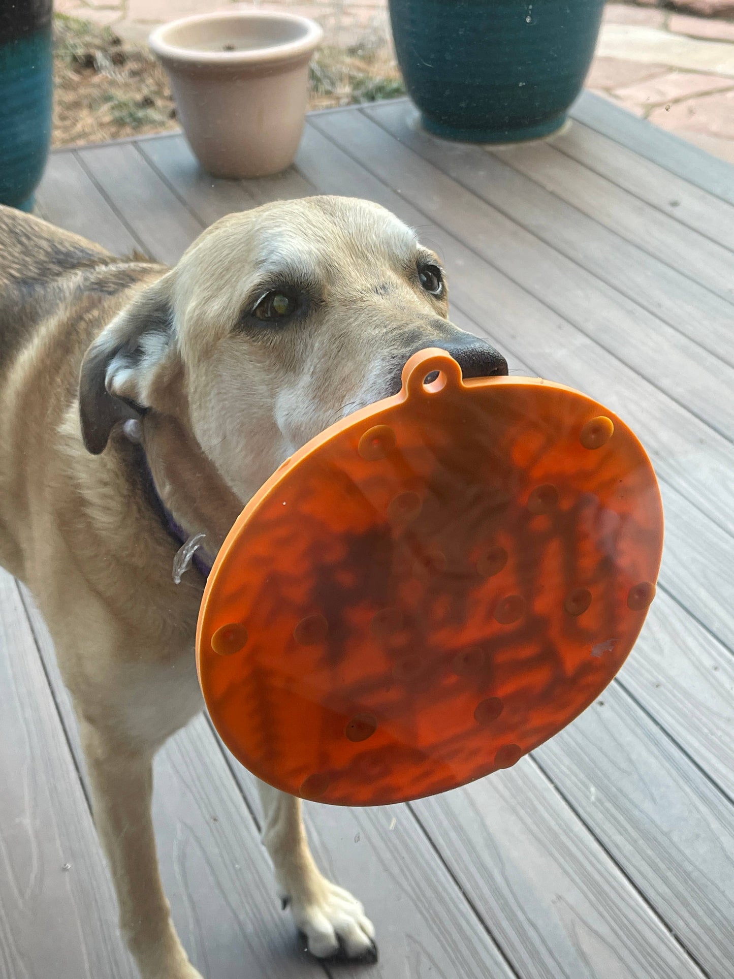 SodaPup - Camp eMat Enrichment Lick Mat With Suction Cups - Green