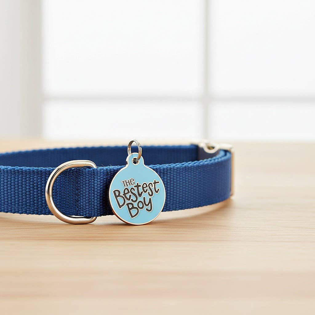 Bad Tags - Personalized Dog ID Tag Scannable QR Code - The Bestest Boy - Engraved QR Code / Large 1.25"