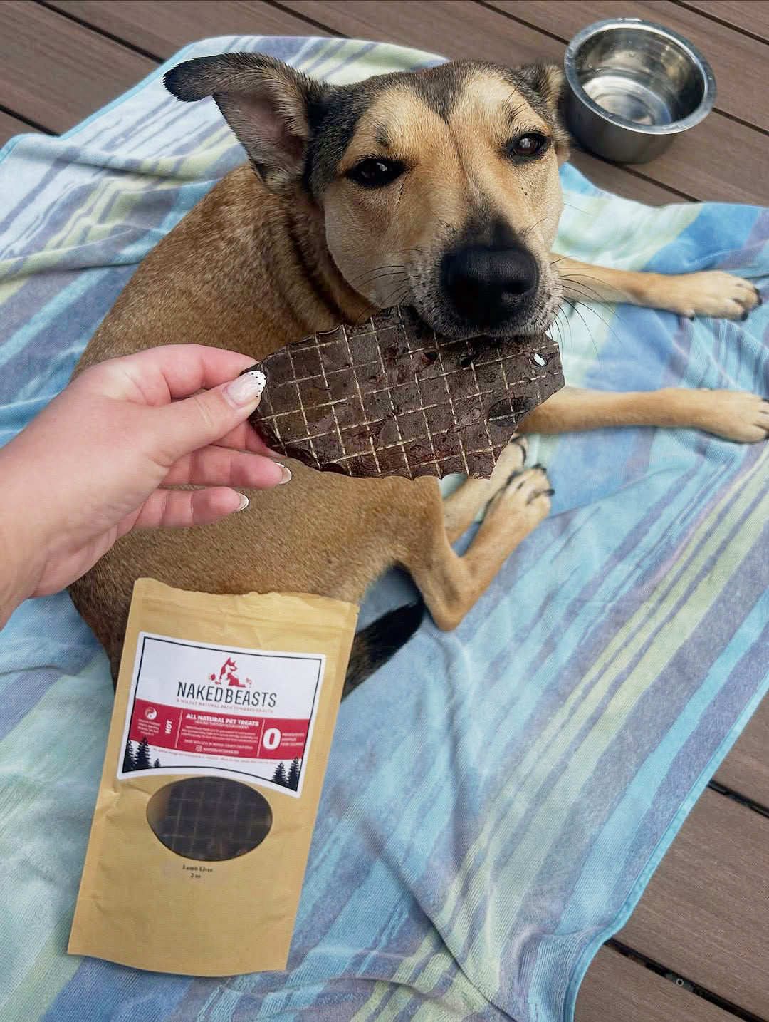 Lamb Liver - Thin Cut - Doot's Pet LLC Collars For A Cause